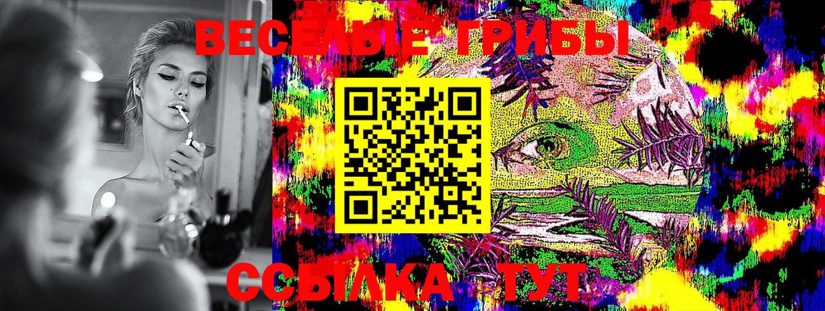 Псилоцибиновые грибы Magic Shrooms  Вход с VPN  Тара 