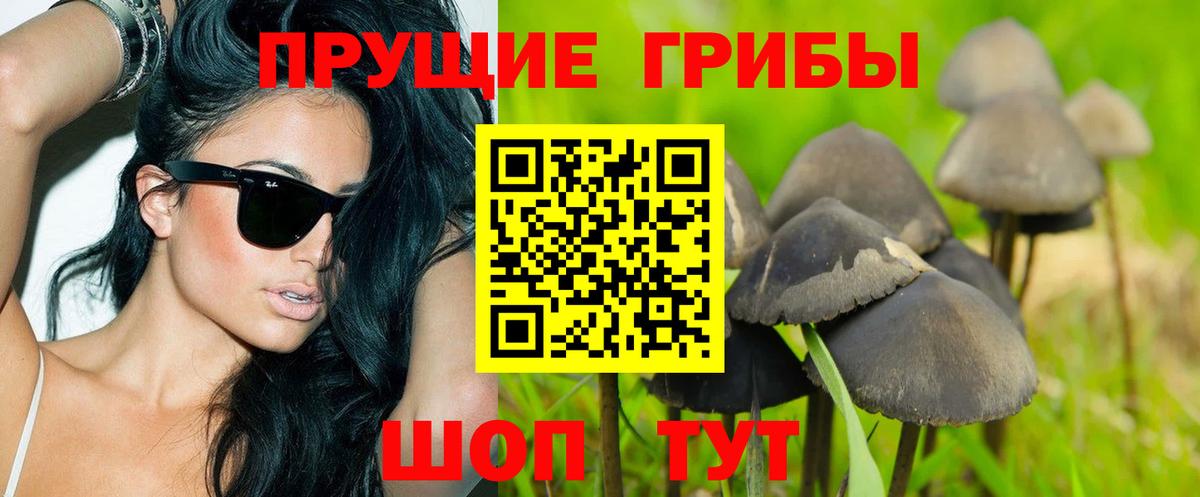 Псилоцибиновые грибы MAGIC MUSHROOMS Тара